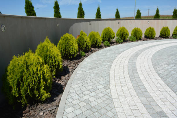 Best Decorative Driveway Pavers  in Norway, MI